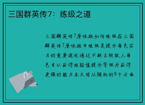 三国群英传7：练级之道